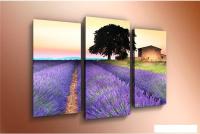 Модульная картина Arthata m-000335 90x60