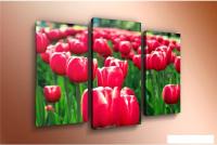 Модульная картина Arthata m-000433 75x50