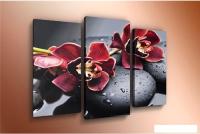 Модульная картина Arthata m-000213 120x80