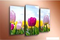 Модульная картина Arthata m-000566 75x50