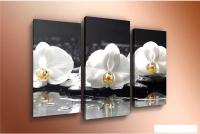 Модульная картина Arthata m-000575 75x50