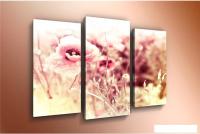 Модульная картина Arthata m-000258 75x50