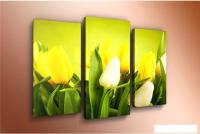 Модульная картина Arthata m-000586 90x60