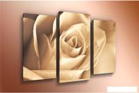 Модульная картина Arthata m-000226 120x80