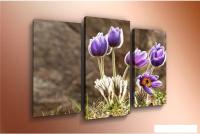 Модульная картина Arthata m-000257 120x80