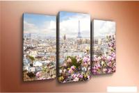 Модульная картина Arthata m-002499 120x80