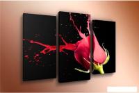 Модульная картина Arthata m-000281 75x50