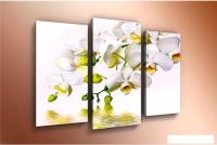 Модульная картина Arthata m-000305 90x60