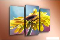 Модульная картина Arthata m-000424 75x50