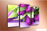 Модульная картина Arthata m-000431 75x50