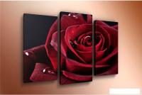 Модульная картина Arthata m-000469 90x60