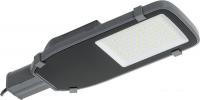 Городской фонарь IEK LDKU0-1002-050-5000-K03