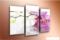 Модульная картина Arthata m-000242 120x80