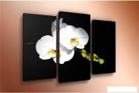 Модульная картина Arthata m-000301 90x60