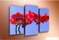 Модульная картина Arthata m-000279 90x60