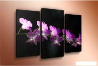 Модульная картина Arthata m-000125 120x80