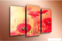 Модульная картина Arthata m-000239 120x80