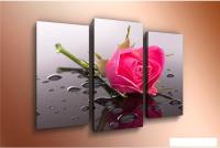 Модульная картина Arthata m-000194 75x50