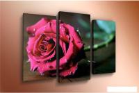 Модульная картина Arthata m-000582 90x60