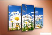 Модульная картина Arthata m-000224 120x80