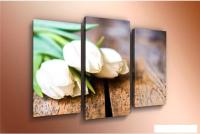 Модульная картина Arthata m-000212 90x60