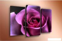 Модульная картина Arthata m-000535 75x50