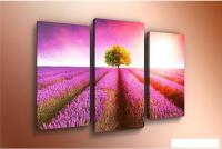 Модульная картина Arthata m-000165 90x60