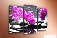 Модульная картина Arthata m-000607 75x50