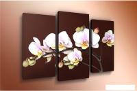 Модульная картина Arthata m-000446 90x60