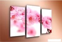 Модульная картина Arthata m-000536 90x60