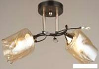 Припотолочная люстра Aitin Pro НПБ N4496/2 (черный/золото)