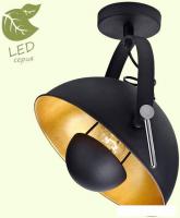 Припотолочная люстра Lussole Loft Sherrelwood GRLSP-9825