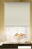 Рулонные шторы Эскар Blackout 120x170 (кремовый)