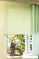 Рулонные шторы Эскар 90x170 (светло-зеленый)