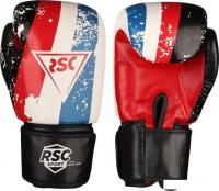 Перчатки для единоборств RSC Sport Hit PU SB-01-146 (10 oz, белый/красный/синий)