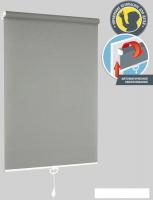 Мини рулонные шторы Delfa Сантайм Роял СРШП-05В 2816 48x170 (серый)