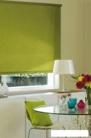 Рулонные шторы Эскар 98x170 310180981701 (темно-оливковый)