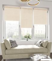 Рулонные шторы Legrand Бриз 57x175 (пудра)
