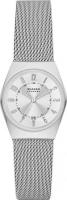 Наручные часы Skagen Grenen Lille SKW3038