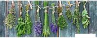Картина на стекле Orlix Сушеные пучки трав GL-00882 30x80 см