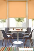 Рулонные шторы Эскар 98x170 (абрикосовый)