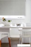 Рулонные шторы Эскар 98x170 (серый)