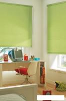 Рулонные шторы Эскар 90x170 (салатовый)