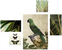 Модульная картина Orlix Set Зеленый попугай CA-12825 70x150 см