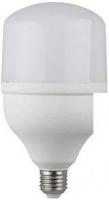 Светодиодная лампочка ЭРА LED E27 40 Вт 6500 К Б0027005