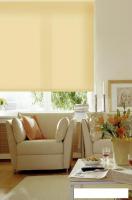 Рулонные шторы Эскар 90x170 311120901701 (светлый абрикос)