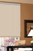 Рулонные шторы Эскар Blackout 115x170 (бежевый)