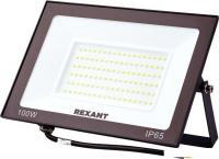 Уличный прожектор Rexant 605-034