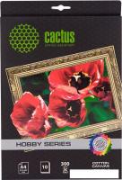 Холст CACTUS Хлопковый холст A4 300 г/кв.м. 10 листов (CS-СA426010)