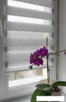 Шторы день-ночь Delfa Сантайм День Ночь Лагос СРШ-01МК 4482 34x160 (белый/серебристый)